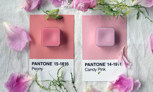 Roserosé Studio 🌸2020 KCCA證書春季班招生🌸