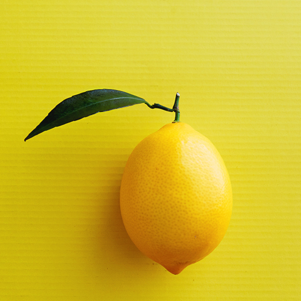 Bitter Lemon 苦檸檬