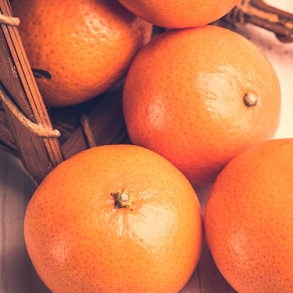 Oyedo = Mandarin & Citrus (D Type)  東京柑橘