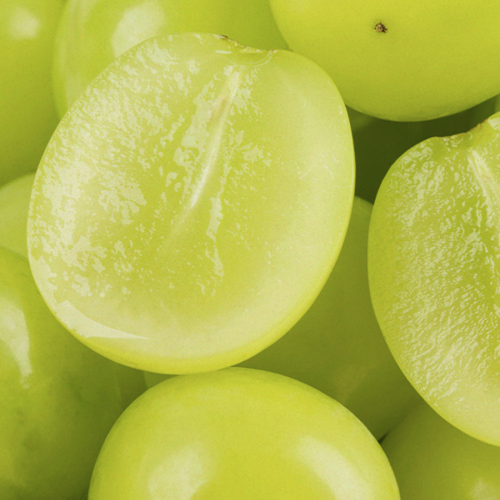 Shine Muscat ~Green Grapes青葡萄