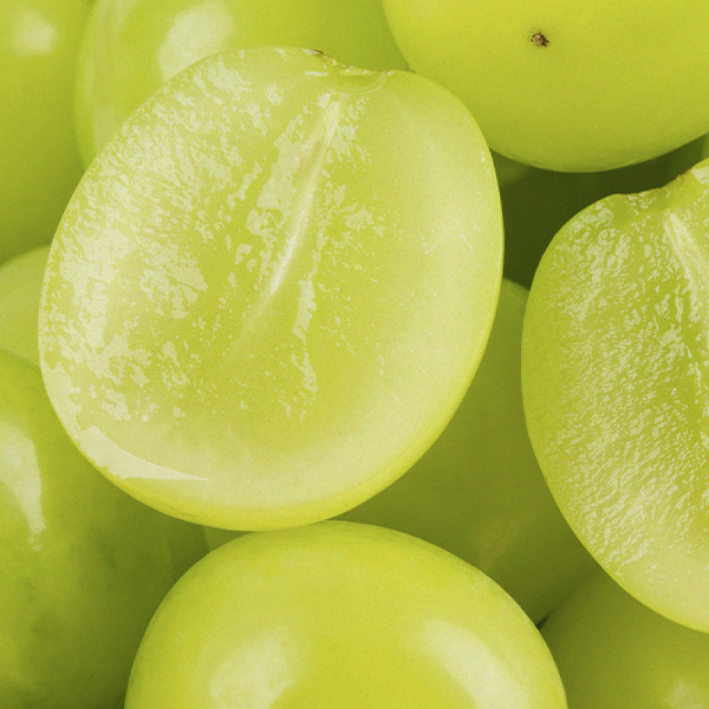 Shine Muscat ~Green Grapes青葡萄