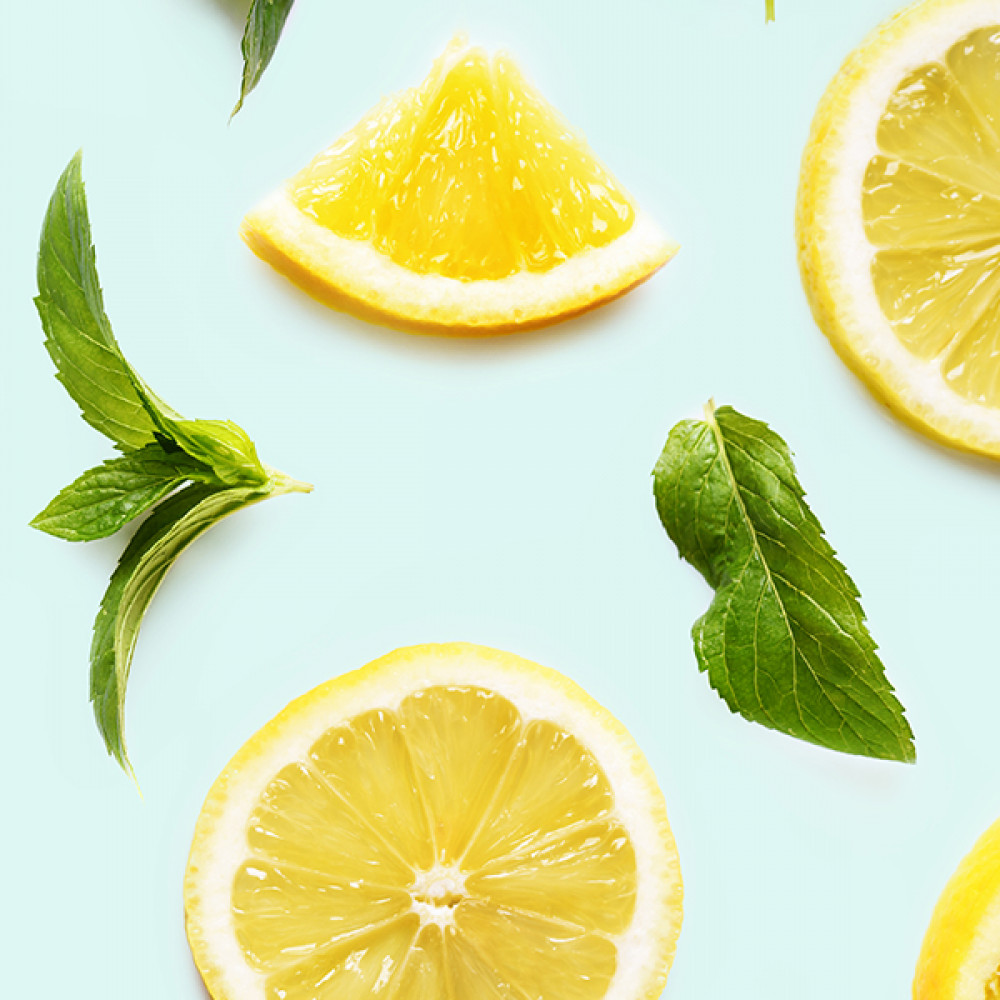 Sorrel & Lemon Thyme (JM Type)酸模與檸檬百里香