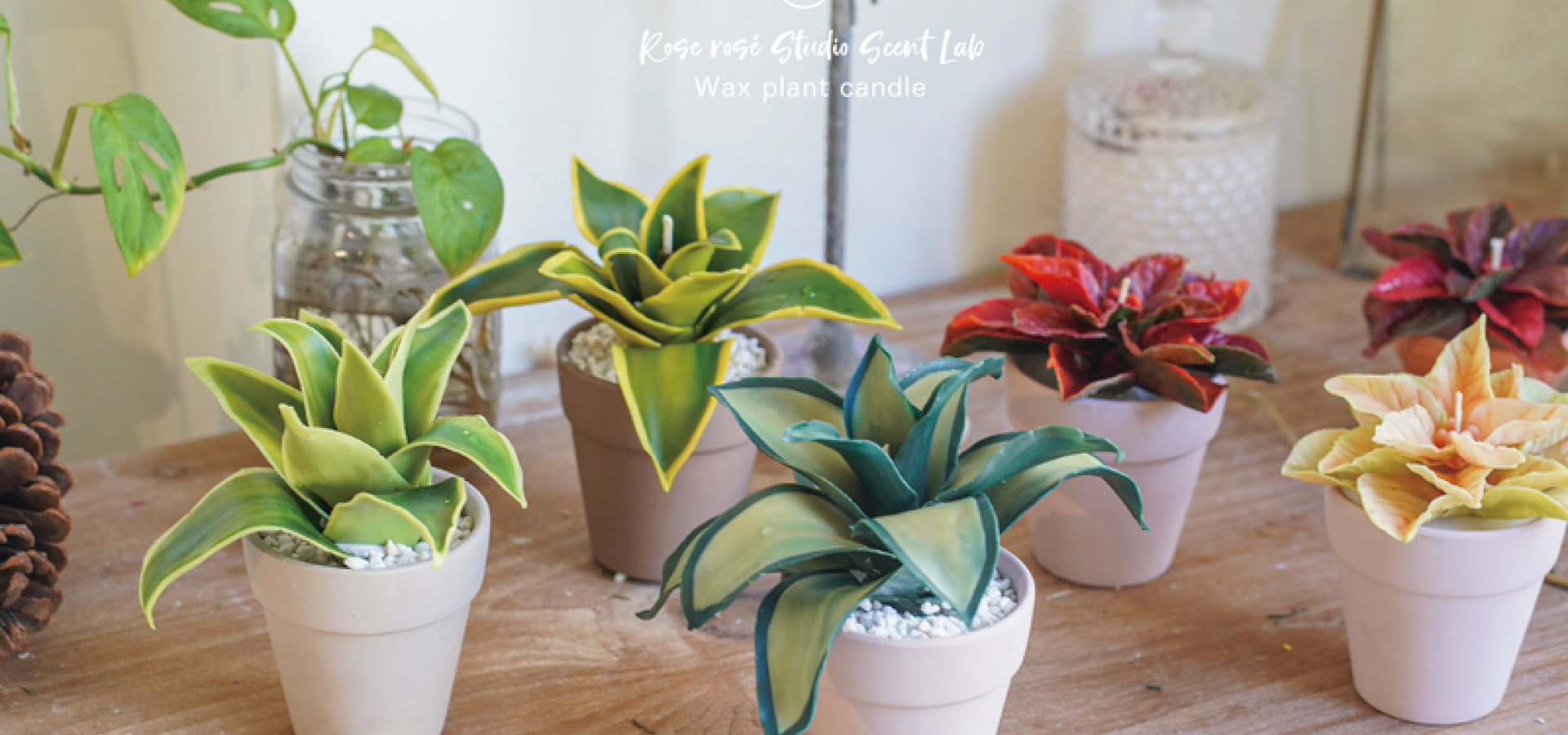 2024 CLAB Wax Plant class